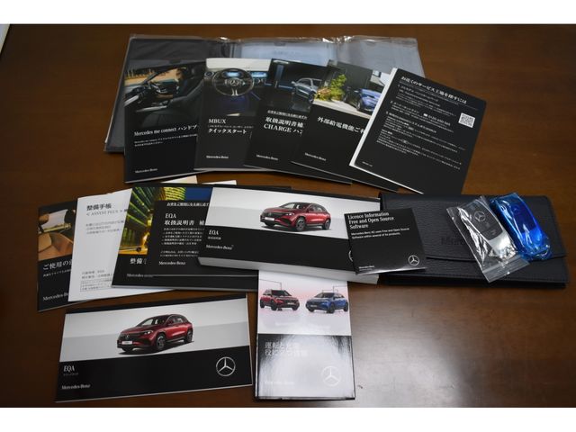 MERCEDES BENZ EQA 2025 Image 31