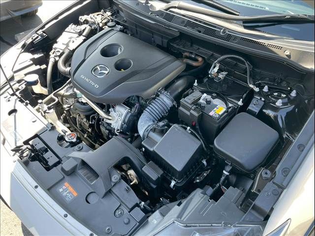 MAZDA CX-3 2024 Image 31