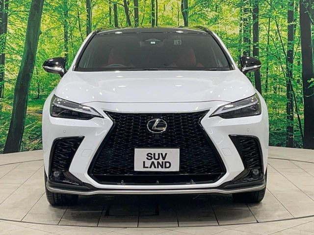 TOYOTA LEXUS NX350H 2023 Image 31