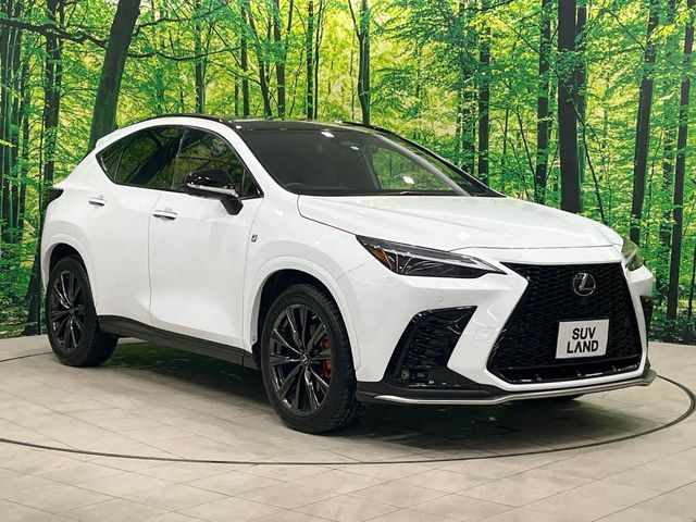 TOYOTA LEXUS NX350H 2023 Image 31