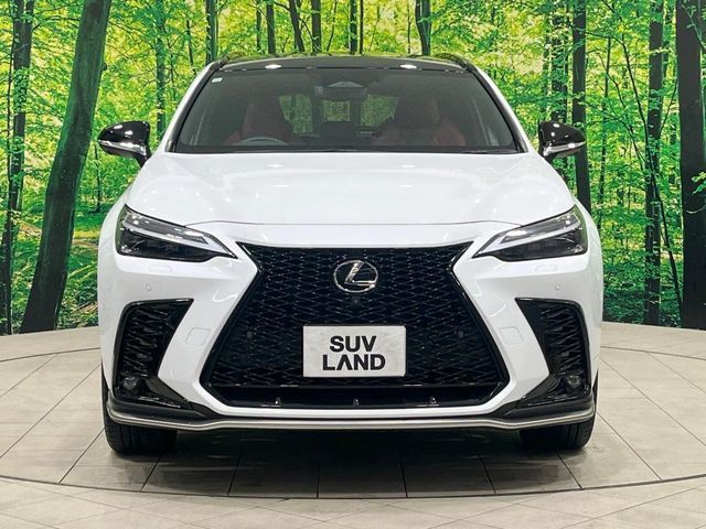 TOYOTA LEXUS NX350H 2023 Image 31