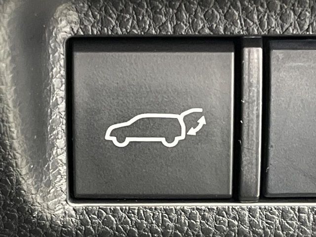 TOYOTA RAV4 4WD 2020 Image 31