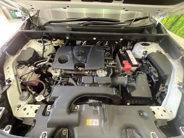 TOYOTA RAV4 4WD 2020 Image 31