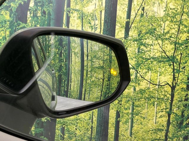 TOYOTA RAV4 4WD 2020 Image 31