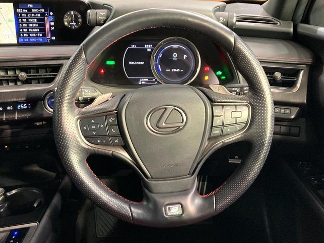 TOYOTA LEXUS UX250H 2019 Image 31