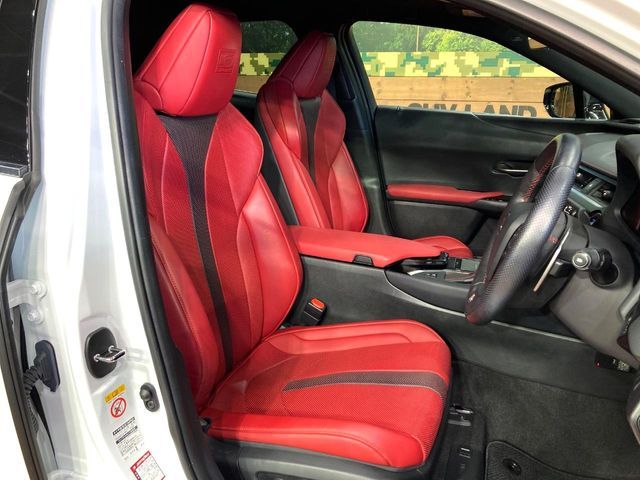 TOYOTA LEXUS UX250H 2019 Image 31