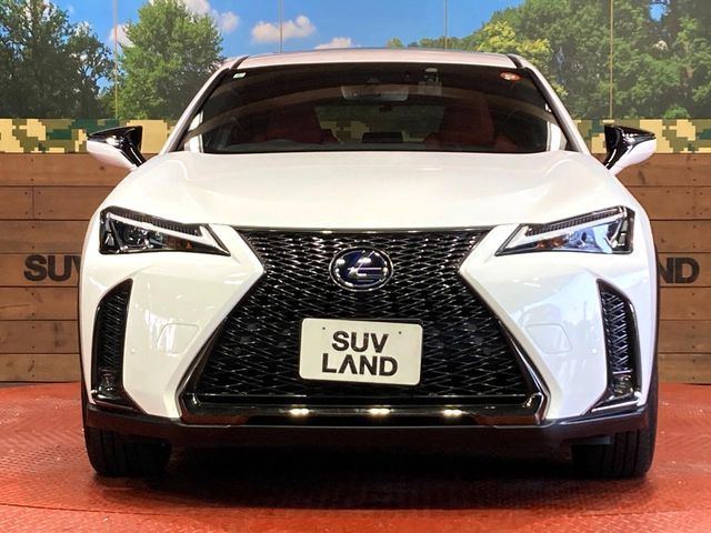 TOYOTA LEXUS UX250H 2019 Image 31