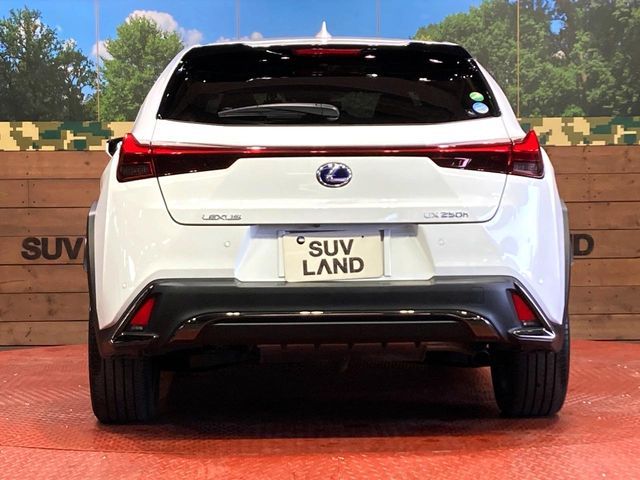 TOYOTA LEXUS UX250H 2019 Image 31