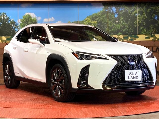 TOYOTA LEXUS UX250H 2019 Image 31