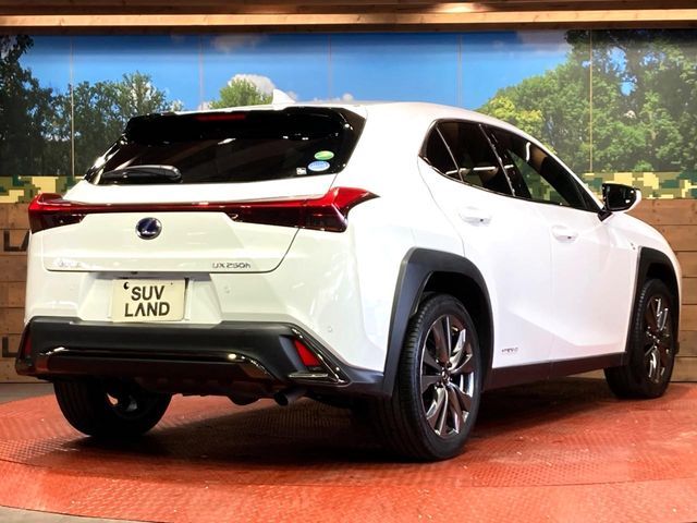 TOYOTA LEXUS UX250H 2019 Image 31