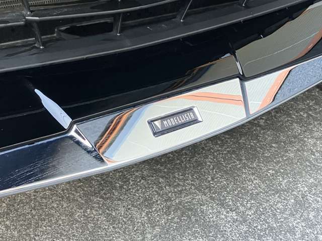 TOYOTA ALPHARD 2025 Image 31