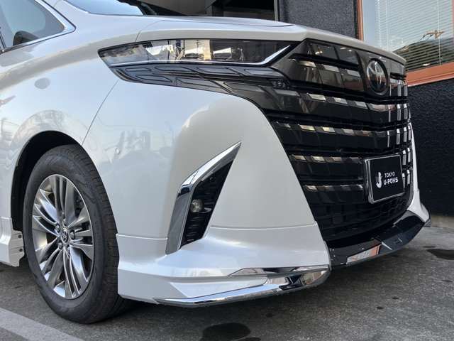 TOYOTA ALPHARD 2025 Image 31