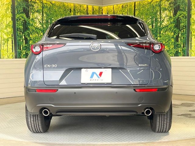 MAZDA CX-30 2021 Image 31