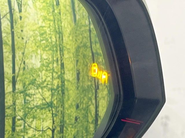 TOYOTA ALPHARD 2020 Image 31