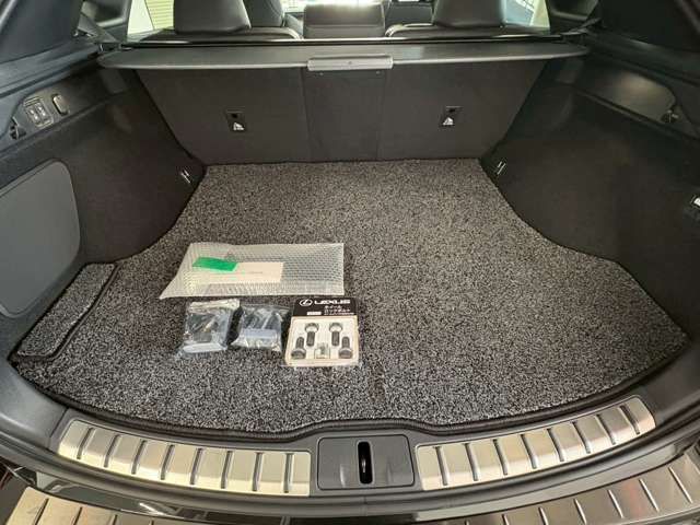 TOYOTA LEXUS RX500H 2025 Image 31