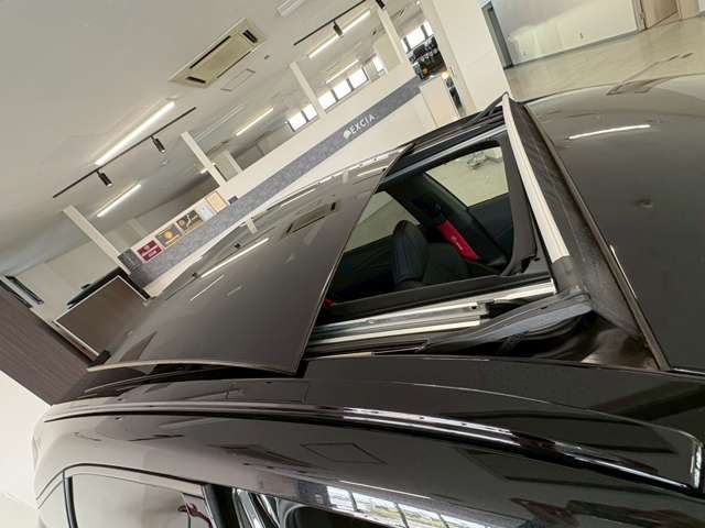 TOYOTA LEXUS RX500H 2025 Image 31