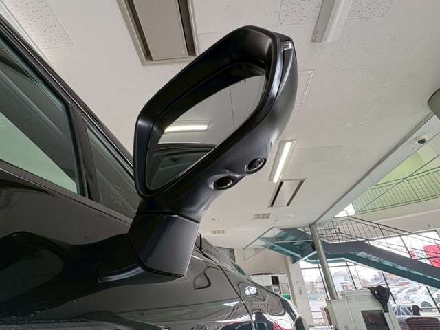 TOYOTA LEXUS RX500H 2025 Image 31