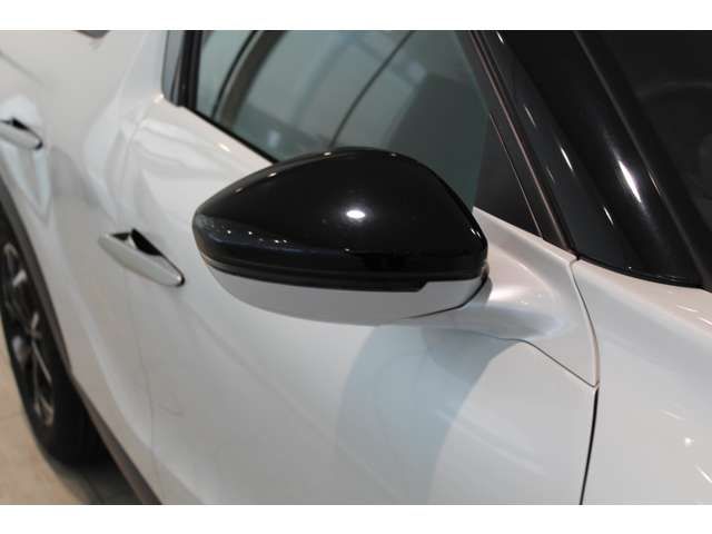 CITROEN DS3 CROSSBAC 2019 Image 31