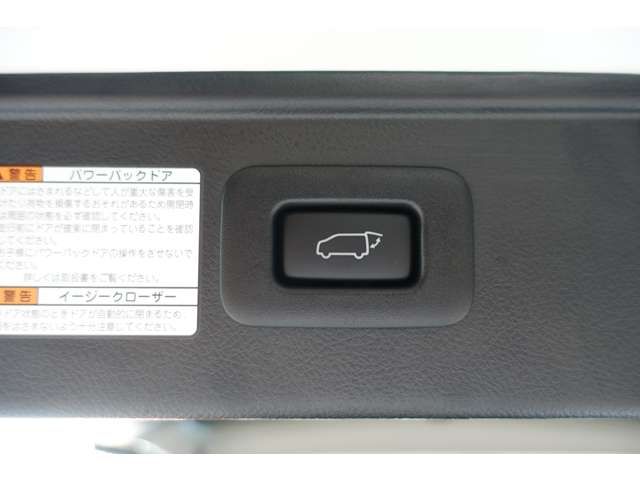 TOYOTA ALPHARD HYBRID 4WD 2021 Image 31