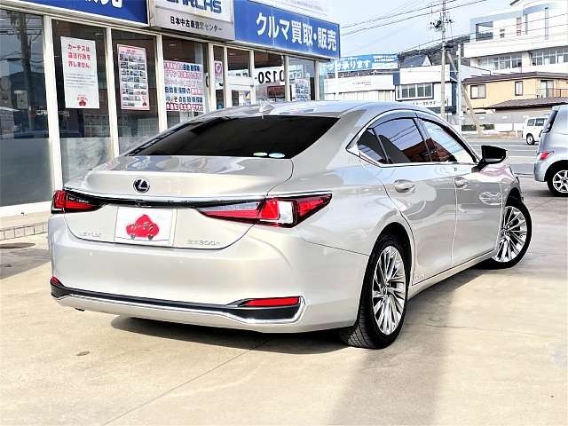 TOYOTA LEXUS ES300H 2019 Image 31