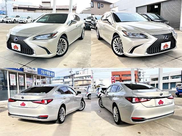 TOYOTA LEXUS ES300H 2019 Image 31