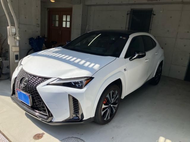 TOYOTA LEXUS UX250H 2023 Image 31