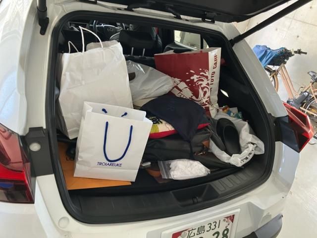 TOYOTA LEXUS UX250H 2023 Image 31