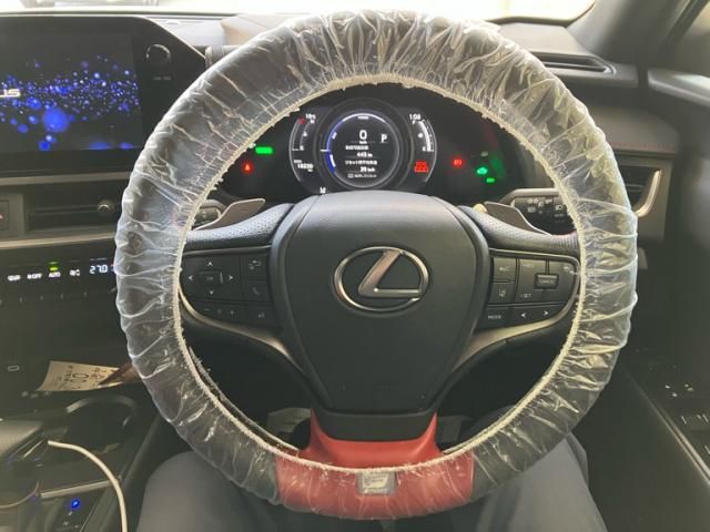 TOYOTA LEXUS UX250H 2023 Image 31