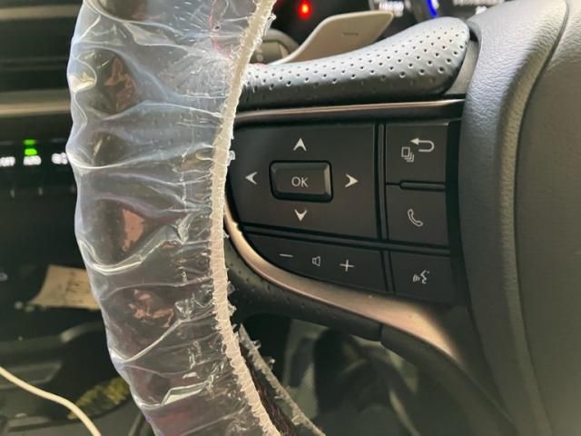 TOYOTA LEXUS UX250H 2023 Image 31