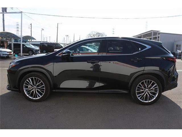 TOYOTA LEXUS NX350H 2023 Image 31