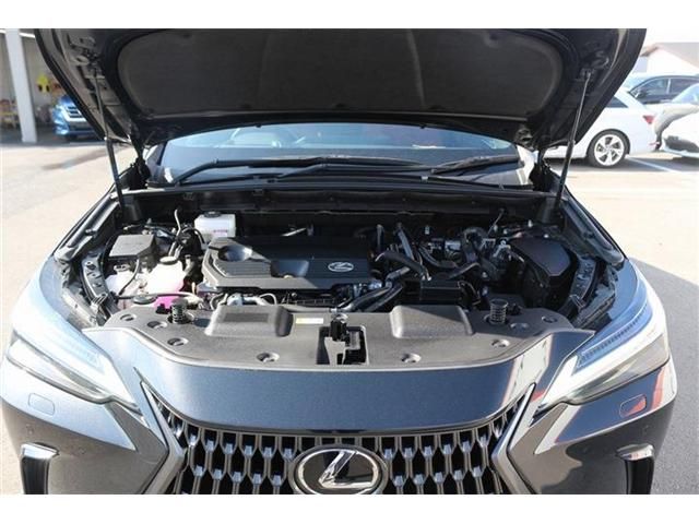 TOYOTA LEXUS NX350H 2023 Image 31