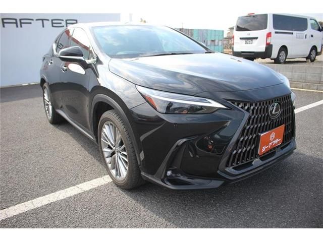 TOYOTA LEXUS NX350H 2022 Image 31