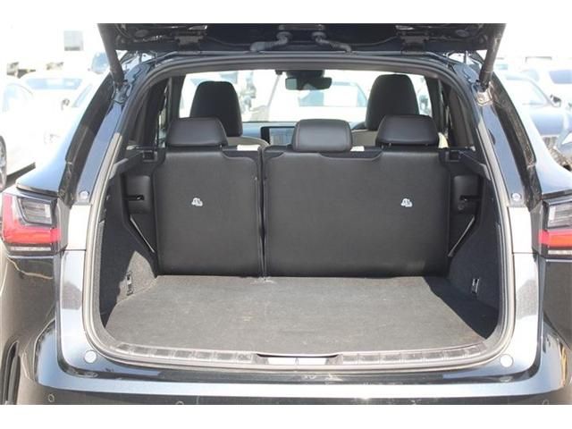 TOYOTA LEXUS NX350H 2022 Image 31