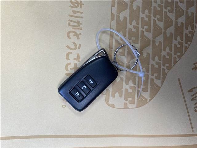 TOYOTA LEXUS IS300H 2021 Image 31