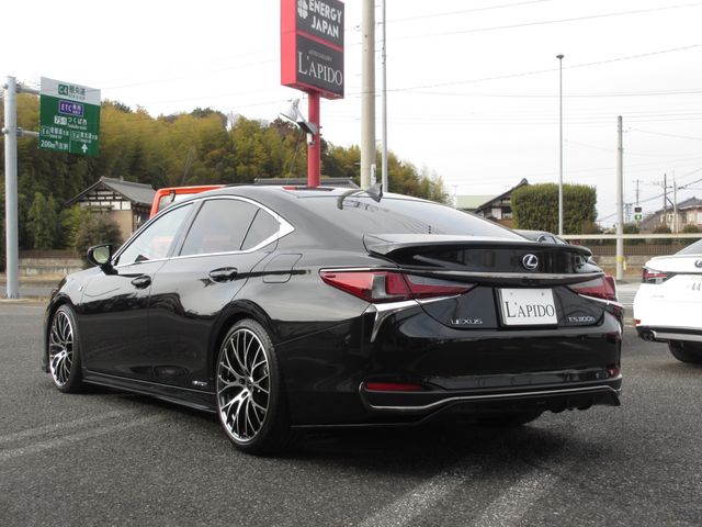 TOYOTA LEXUS ES300H 2019 Image 31