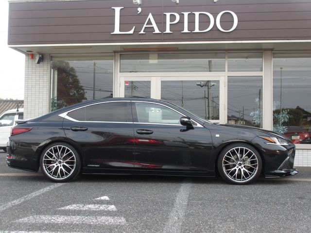 TOYOTA LEXUS ES300H 2019 Image 31