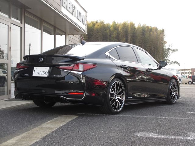 TOYOTA LEXUS ES300H 2019 Image 31