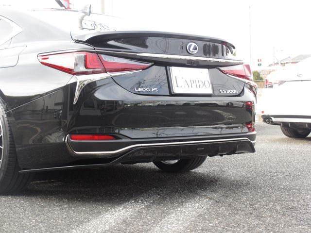 TOYOTA LEXUS ES300H 2019 Image 31