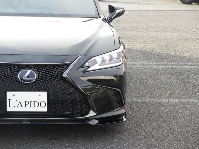 TOYOTA LEXUS ES300H 2019 Image 31