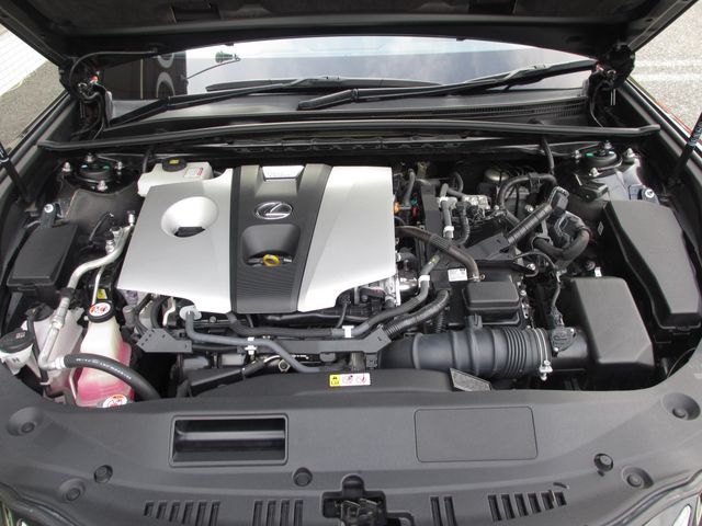 TOYOTA LEXUS ES300H 2019 Image 31