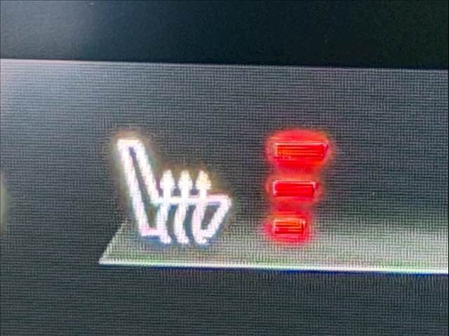 MAZDA MX-30 2020 Image 31