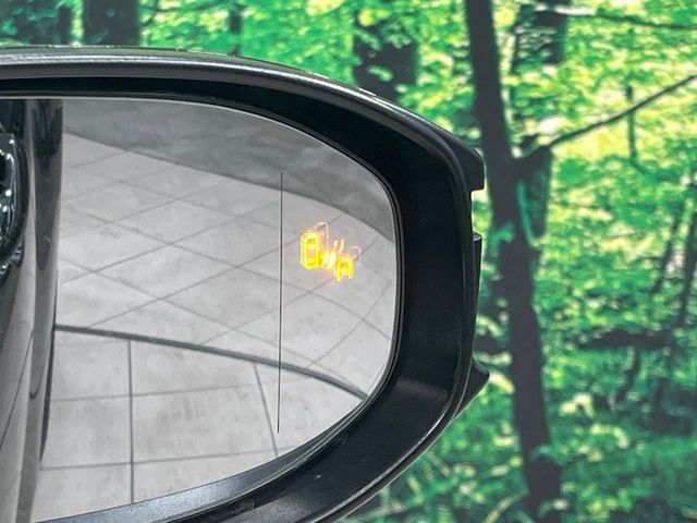 TOYOTA CROWN SPORT 2024 Image 31