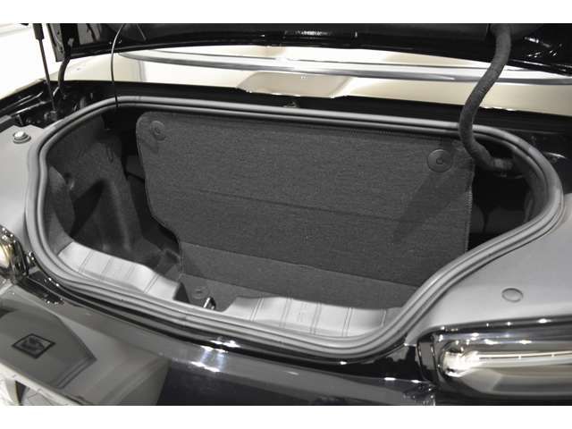 CHEVROLET CAMARO OPE 2019 Image 31