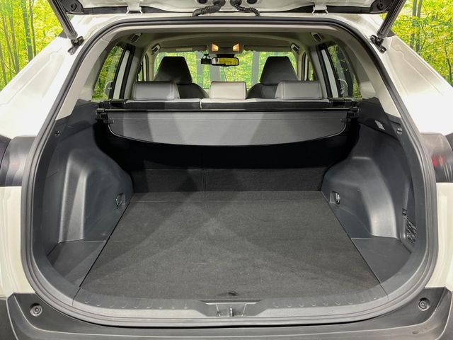 TOYOTA RAV4 4WD 2019 Image 31