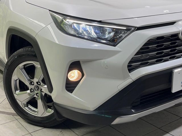 TOYOTA RAV4 4WD 2019 Image 31