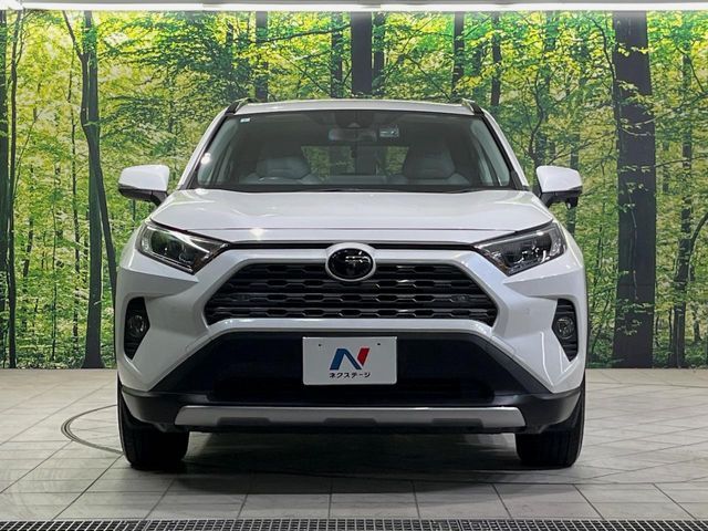 TOYOTA RAV4 4WD 2019 Image 31