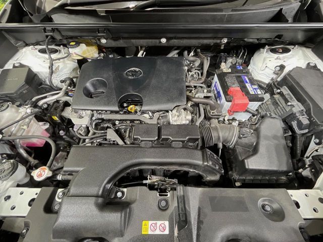 TOYOTA RAV4 4WD 2019 Image 31