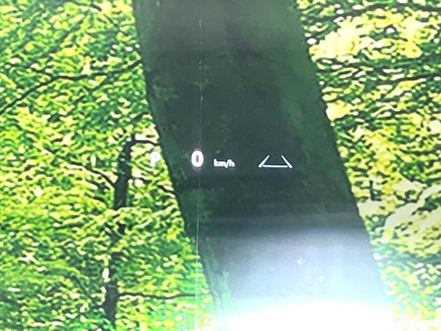 TOYOTA VELLFIRE  HYBRID 2024 Image 31