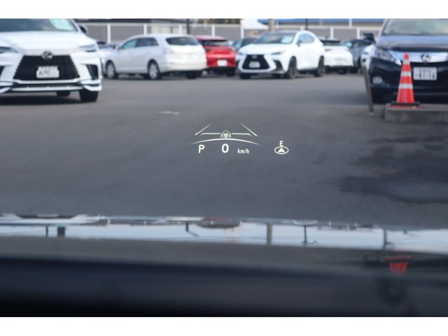 TOYOTA LEXUS RZ450E 2024 Image 31