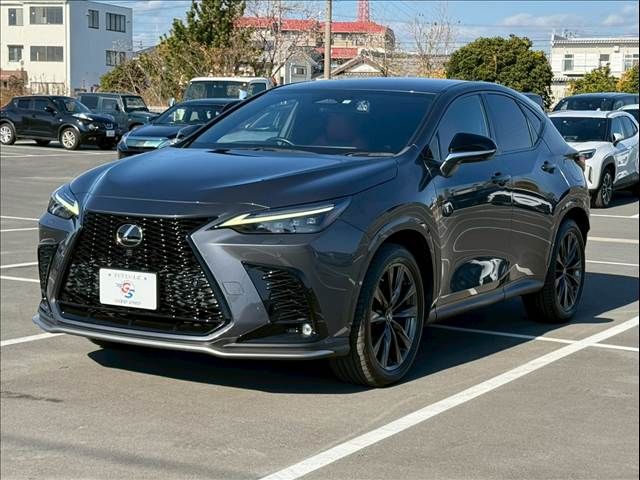 TOYOTA LEXUS NX350H 2022 Image 31